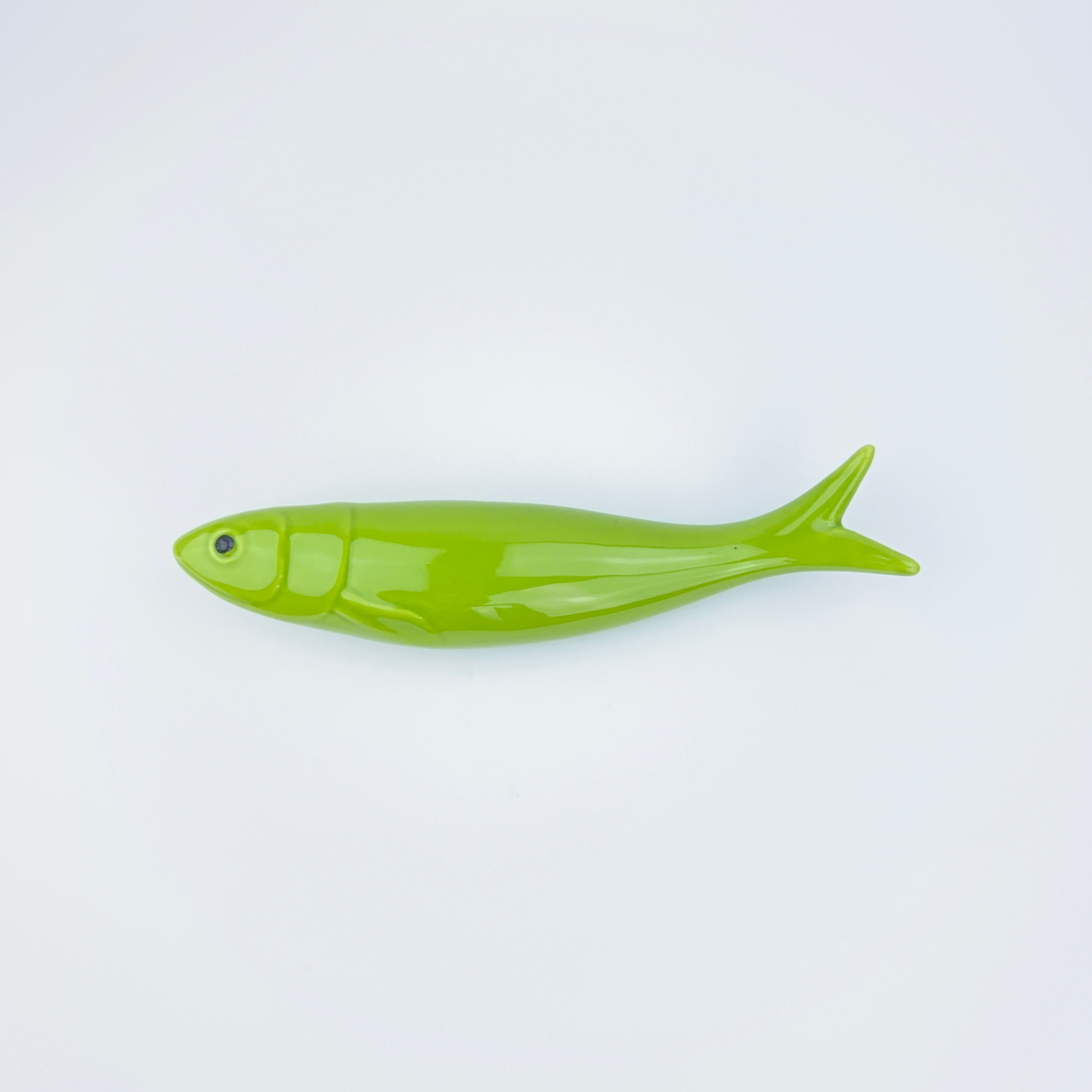 Sardinha lisa